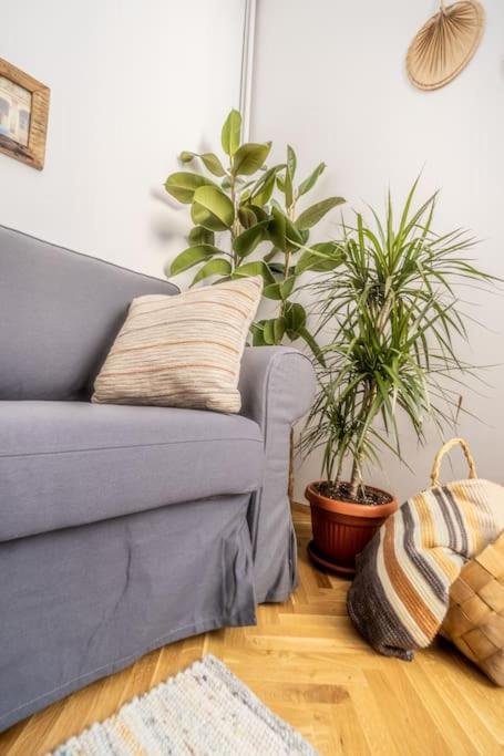 Bohohome 2 Next To The Main Street Sofia Bagian luar foto